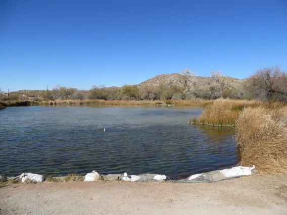 Photo of the Quitobaquito, highlighting the pond and the surrounding landscape.